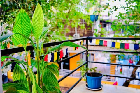 Day, View (from property/room), Balcony/Terrace, Garden view
