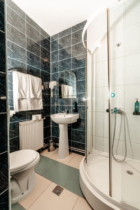 Hotel Strelitia Hotel in Timisoara