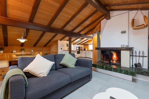 Living room, fireplace