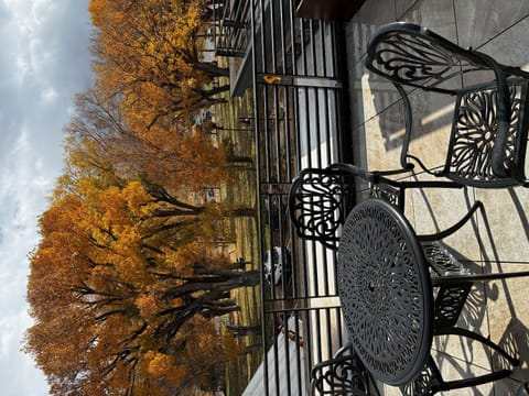 Old Firehouse Loft in Ridgway CO House in Ridgway