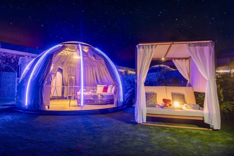 Night, Photo of the whole room, Garden view