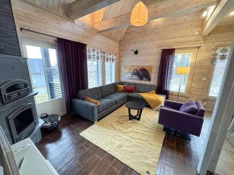 Living room, Photo of the whole room, Seating area, fireplace