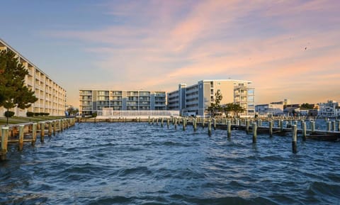 Bayfront 2Bed2Bath Condo Near OC Convention Center House in Isle of Wight Bay