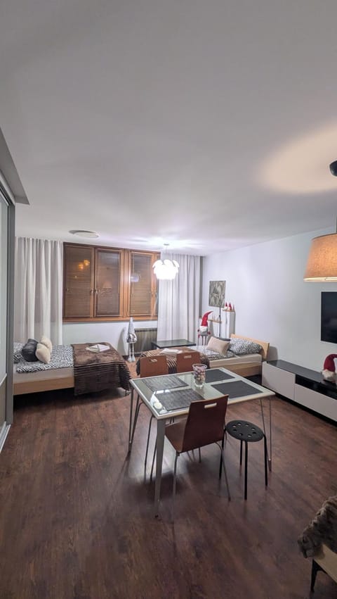 Bed, TV and multimedia, Living room, Photo of the whole room, Seating area, Dining area, Bedroom