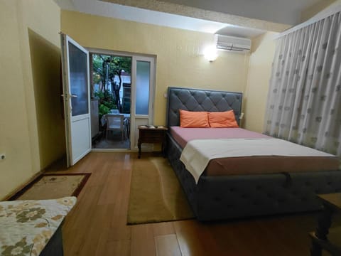 Snežana Vacation rental in Budva