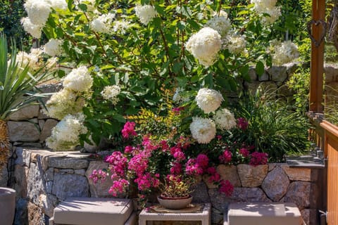 Apartments Tratter Apartment in Algund