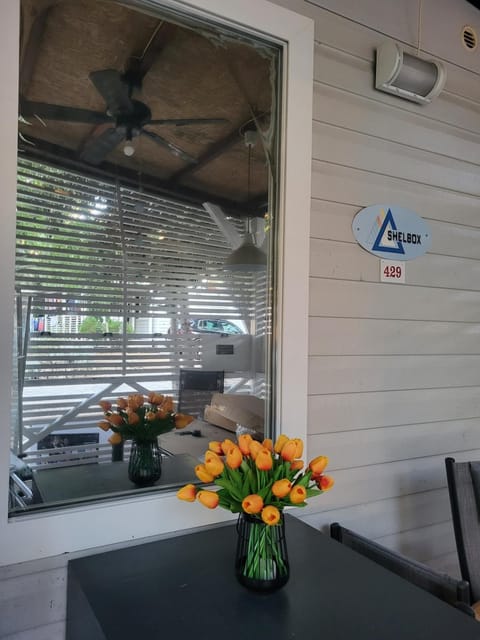 Patio, Facade/entrance