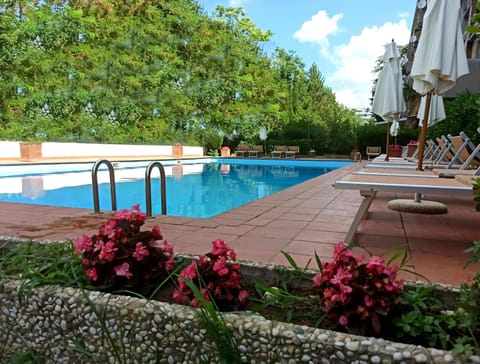 Garden, Pool view, Swimming pool, sunbed