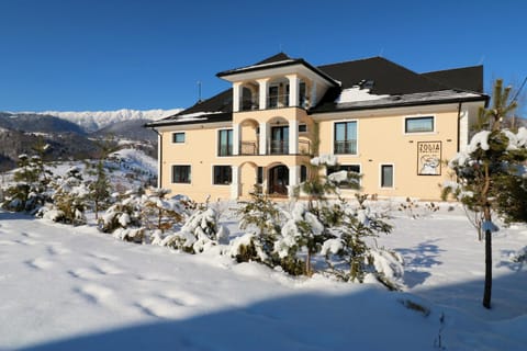 Property building, Day, Natural landscape, Winter, Mountain view