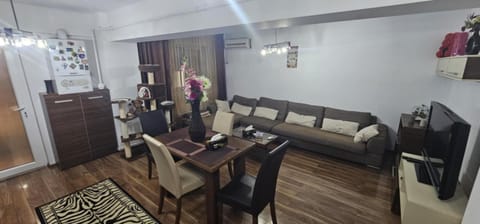 Living room, Dining area, air conditioner