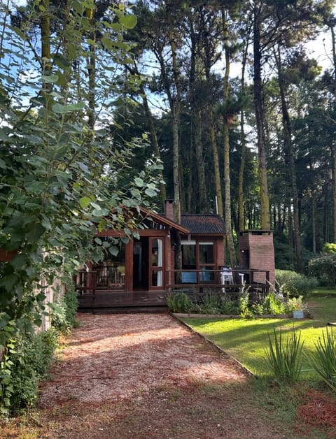 Natural landscape, Garden