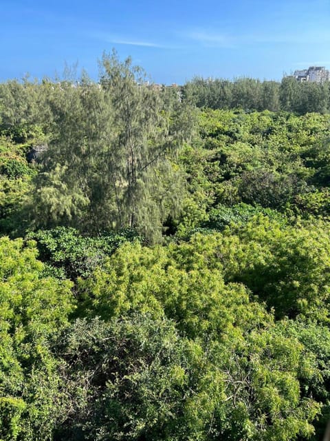 Natural landscape
