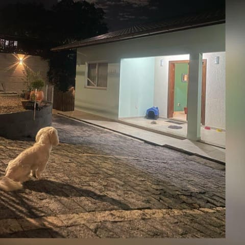 Facade/entrance, Pets