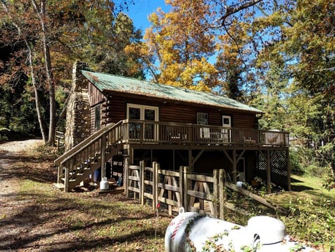 Cozy Mountain Cabin with Fire Pit and Forest Views near Downtown Black Mountain, NC Cabin in Black Mountain