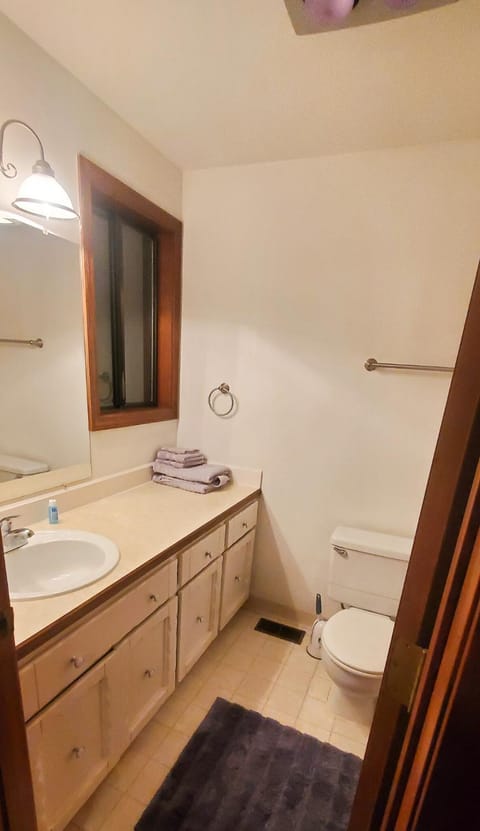 Shower, Toilet, Bathroom, towels