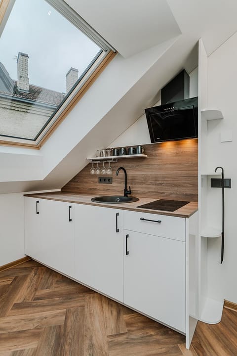 Kitchen or kitchenette, kitchen