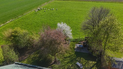 Natural landscape, Garden, Garden view