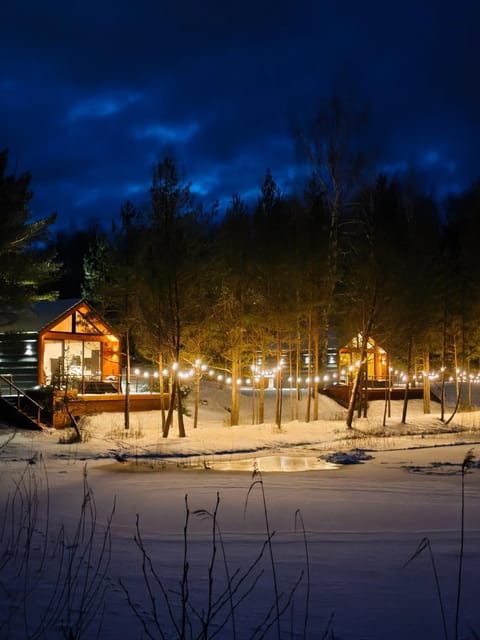 Night, Winter