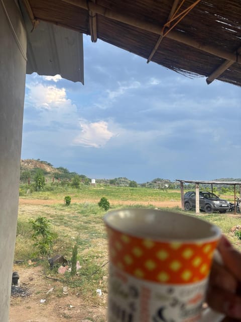 Day, Natural landscape, Food and drinks, Food, Mountain view