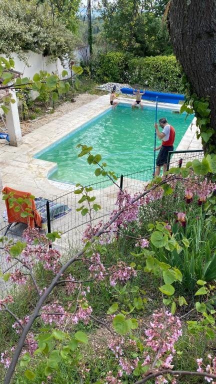 Swimming pool, Swimming pool