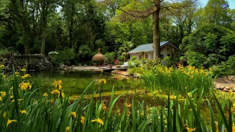 Natural landscape, Garden, View (from property/room), Beach, Pool view, Street view, Swimming pool