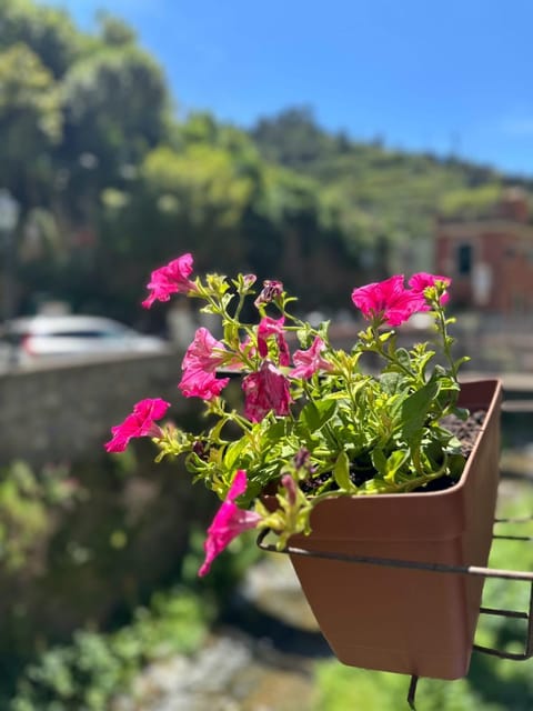 Camere Fontanavecchia Bed and Breakfast in Vernazza