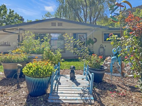 Roaring Fork Retreat home House in Glenwood Springs