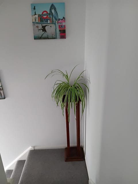 Homely House in Gloucester