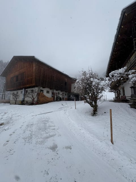 Bergerbauer Krimml Apartment in Salzburgerland