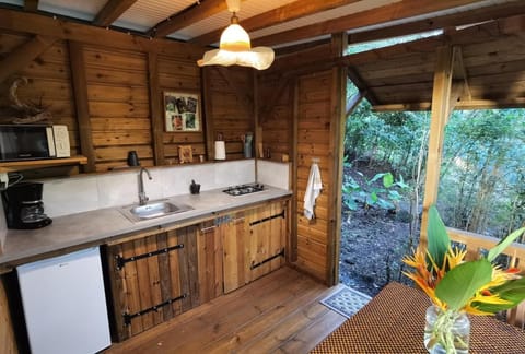 Kitchen or kitchenette, Garden view