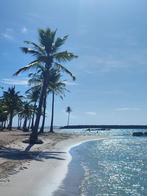 Nearby landmark, Beach
