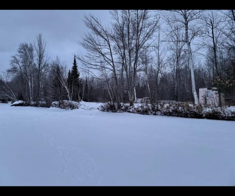 Lake Willow Lakefront House! Northwoods Retreat! House in Wisconsin