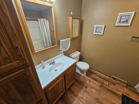 Lake Willow Lakefront House! Northwoods Retreat! House in Wisconsin