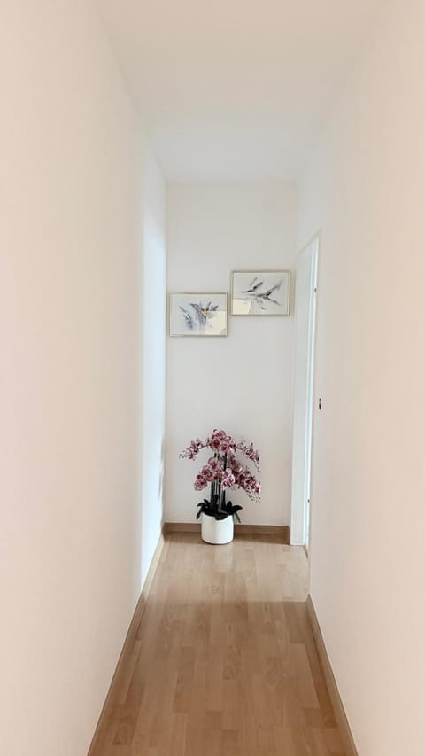 Hostel City Basel 308 Hotel in Basel