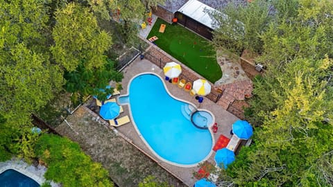 Resort Style Backyard Game Room Pool Hot Tub House in San Antonio
