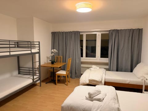 Hostel City Basel 306 Hotel in Basel