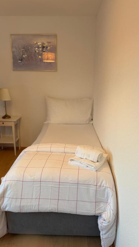 Hostel City Basel 309 Hotel in Basel