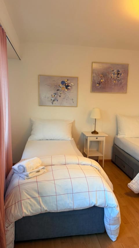 Hostel City Basel 309 Hotel in Basel