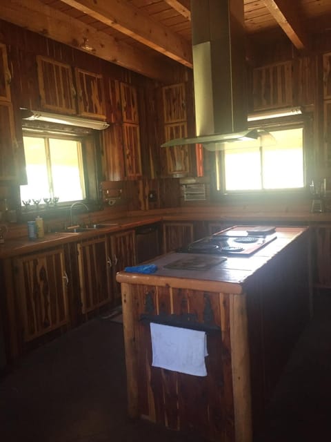 LOG HOME CANINE RETREAT with DOG ART COLLECTION House in Arkansas