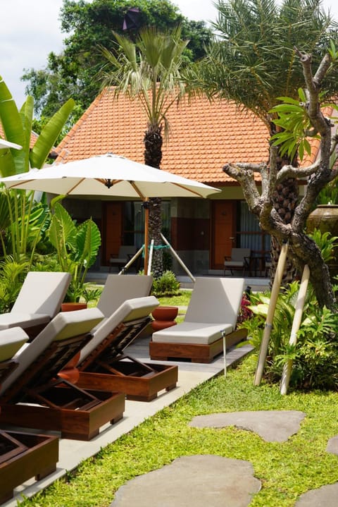 Spring, Day, Garden, Garden view, sunbed