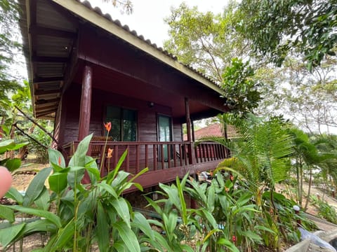 Garden, Balcony/Terrace