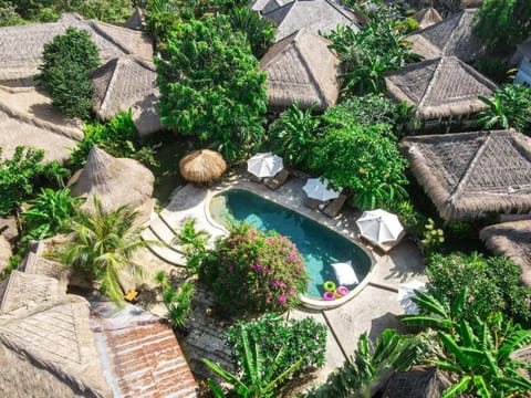 Garden, Swimming pool