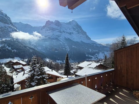 Nearby landmark, Natural landscape, Winter, View (from property/room), Balcony/Terrace, Balcony/Terrace, Mountain view