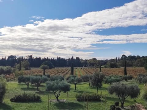 Magnifique Mas avec piscine à 5 minutes d'Uzès Villa in Uzes