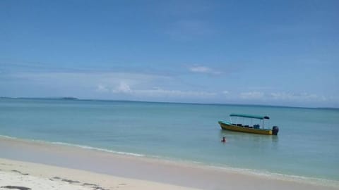 Natural landscape, Summer, Beach