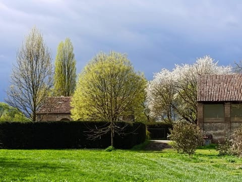 Property building, Spring, Day, Natural landscape, Garden, Garden view