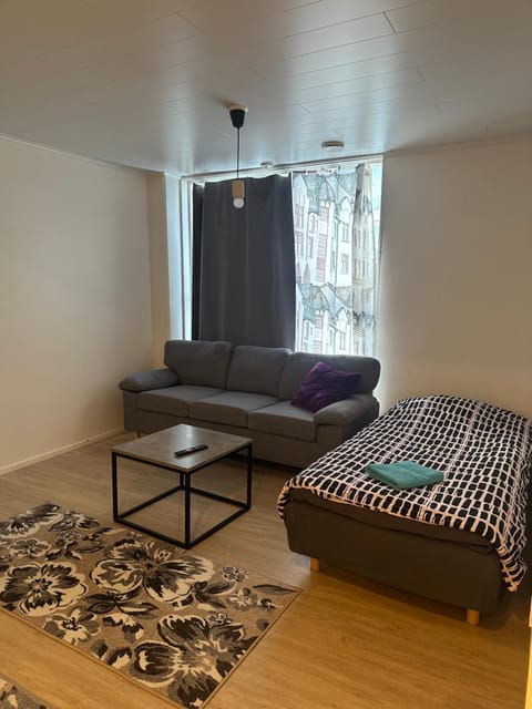 Hostel400Kokkola Kolmio Mannerheiminaukio Apartment in Finland