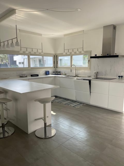 Kitchen or kitchenette, dishwasher, stove