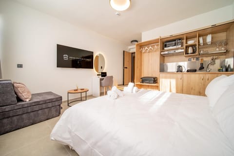 Bed, TV and multimedia, Kitchen or kitchenette, Living room, Photo of the whole room, Seating area, Bedroom