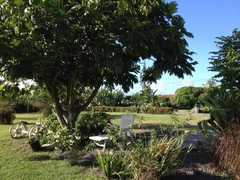 Garden, Garden view